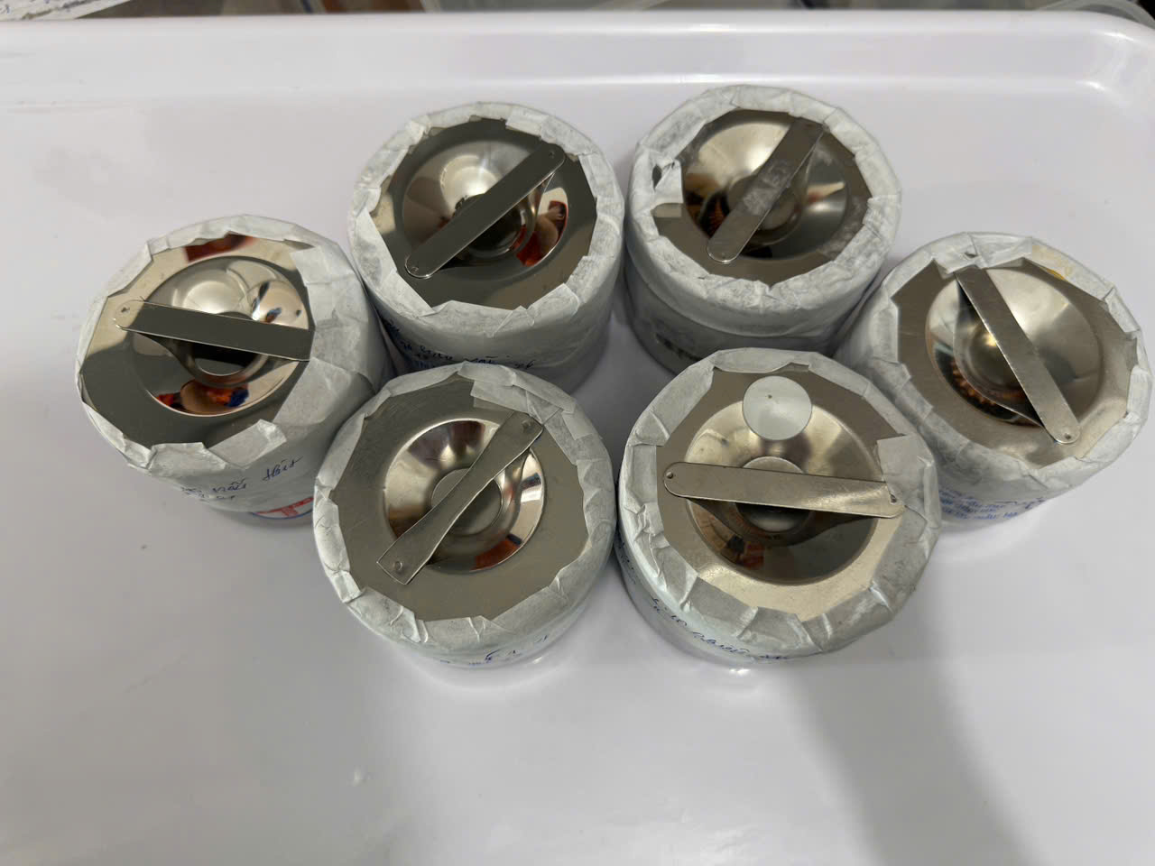 Preserved meal sample