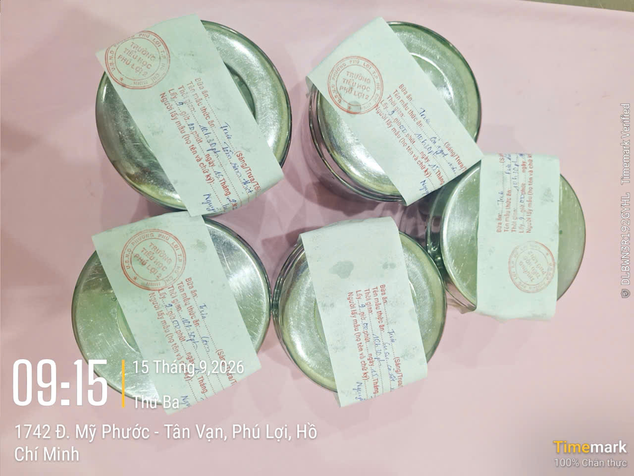 Preserved meal sample