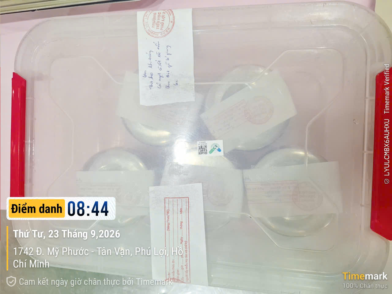 Preserved meal sample