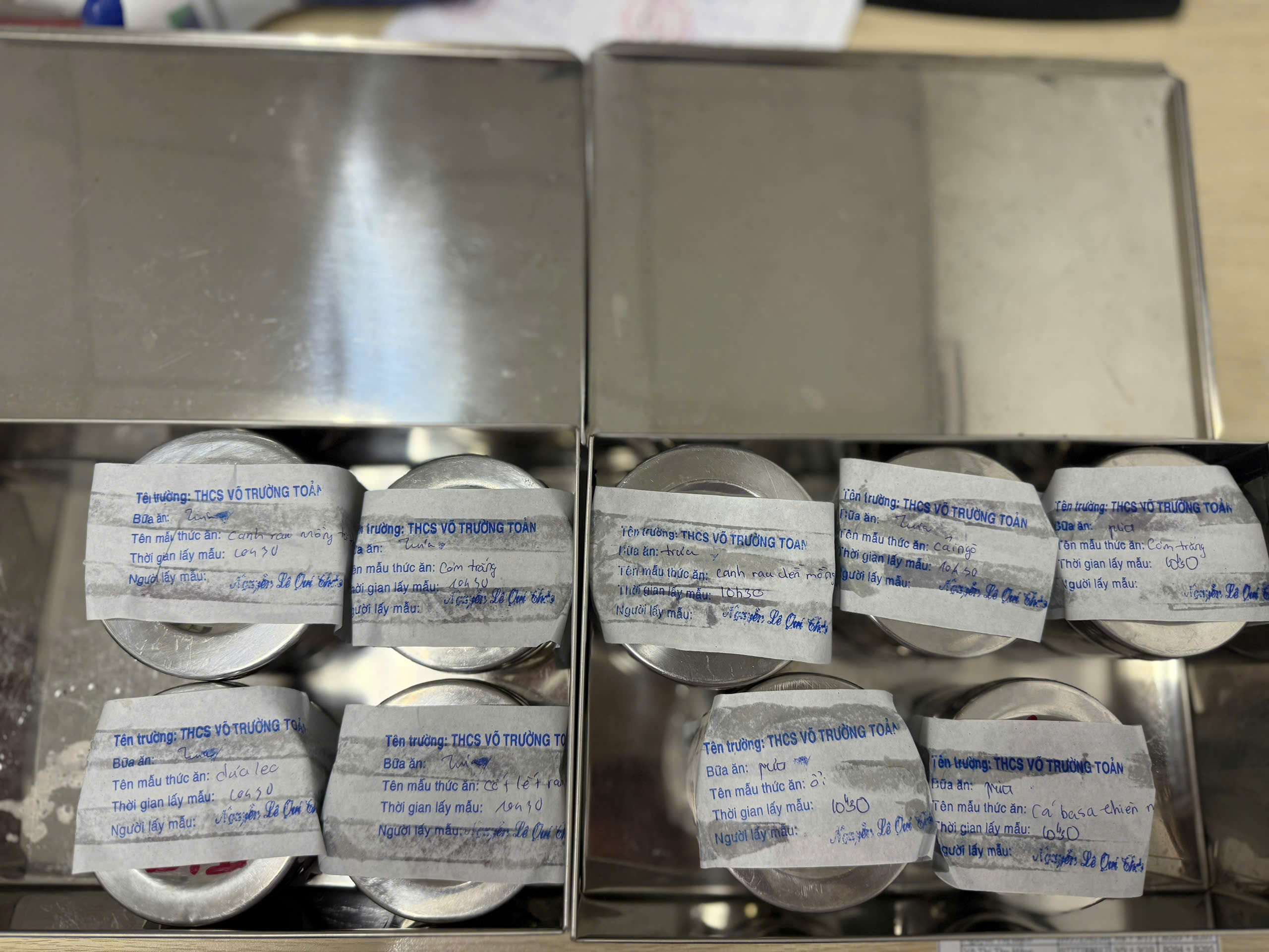 Preserved meal sample