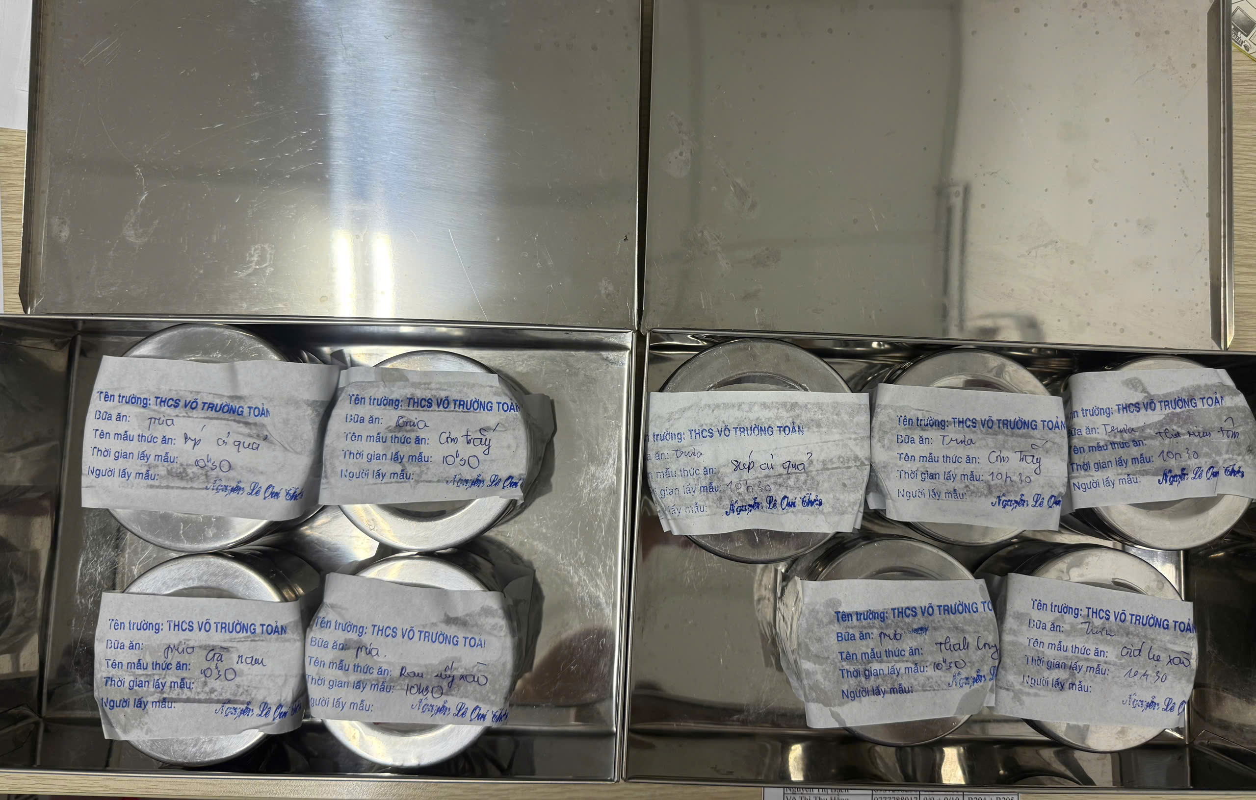 Preserved meal sample