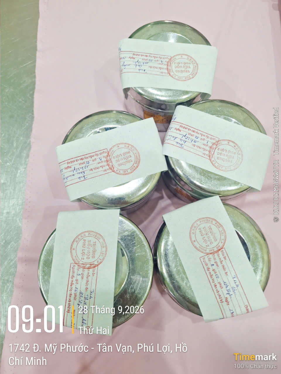 Preserved meal sample