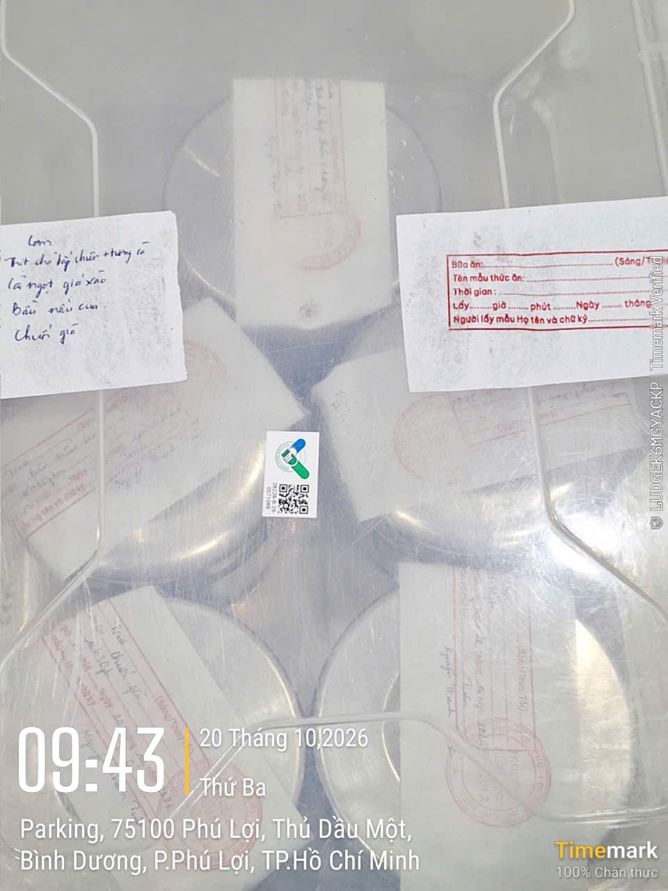 Preserved meal sample